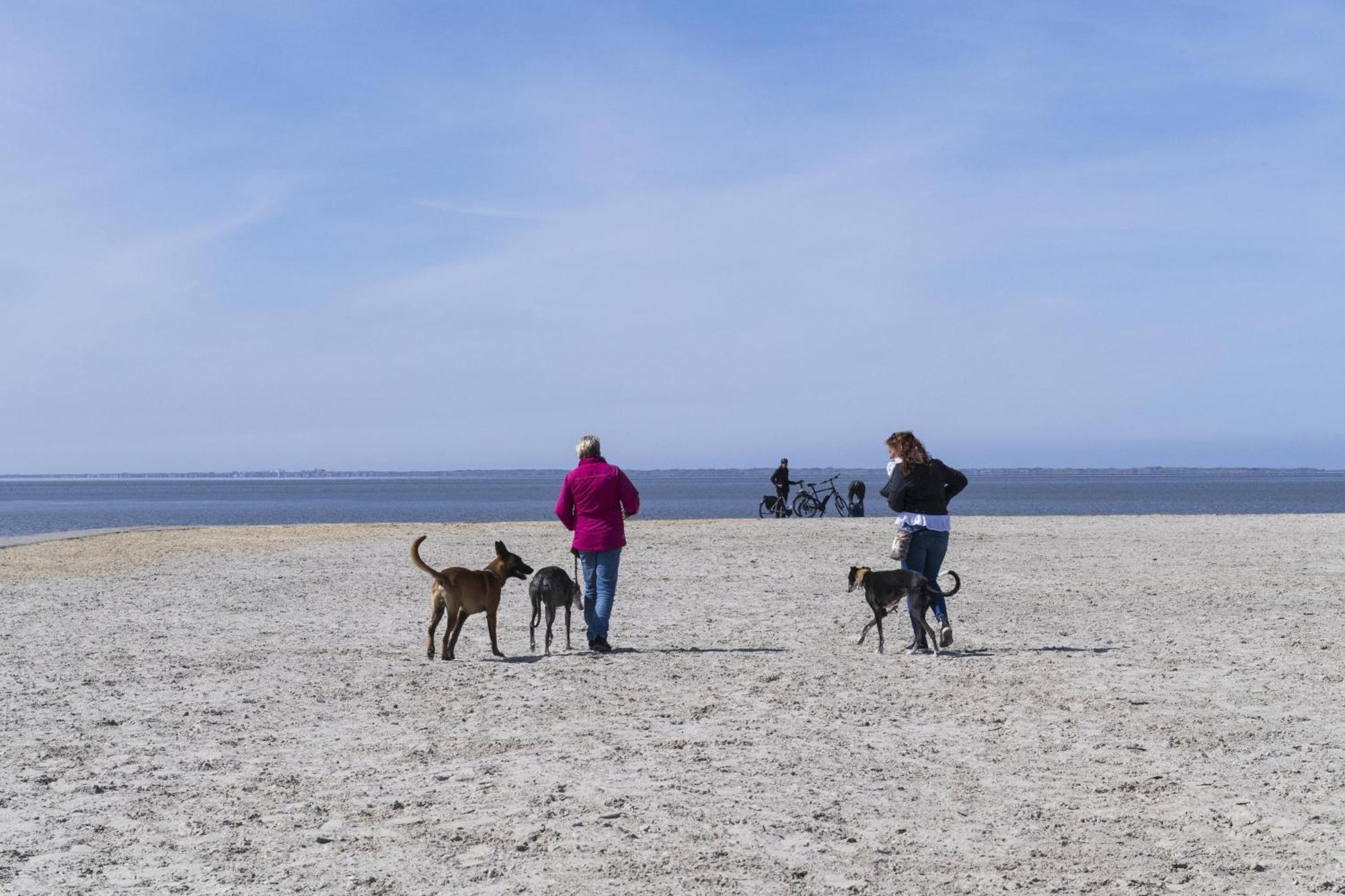 Pfoetchenparadies II Geestland Luaran gambar